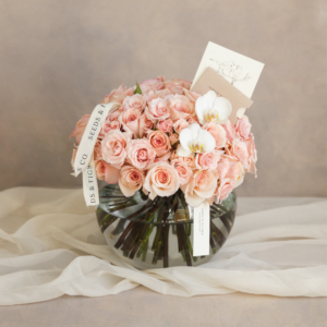 Blossoms