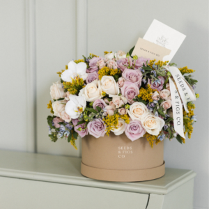 Spring Box