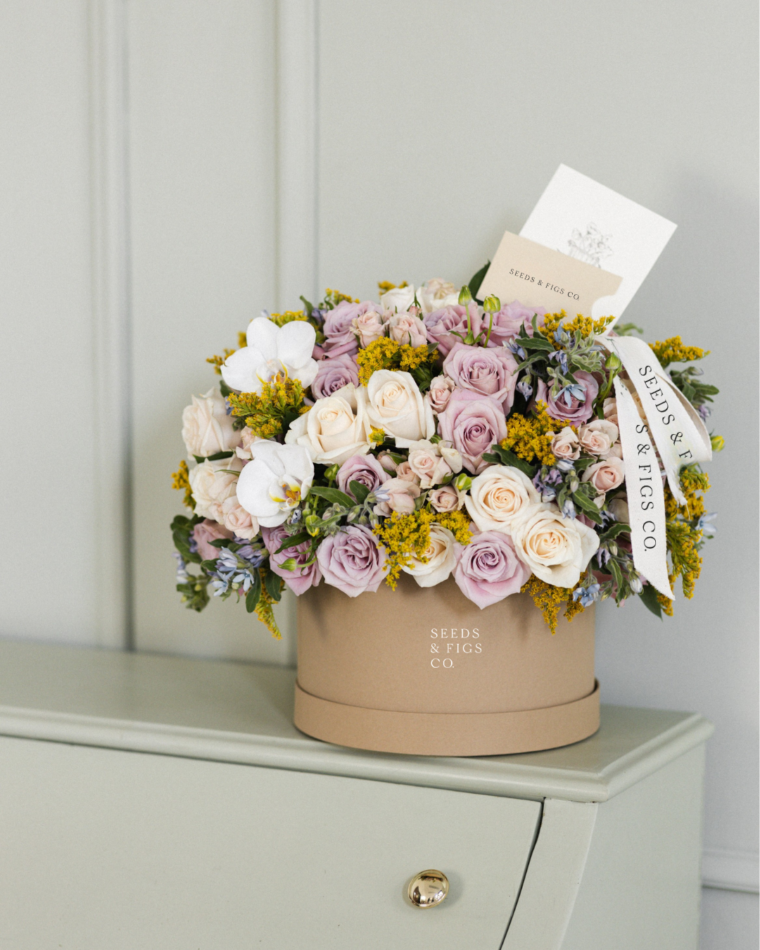 Spring Box