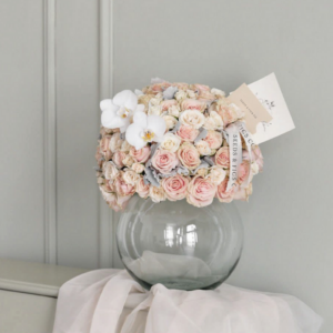 Cherry Blossoms